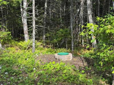 Marble Mountain Road — photo 4