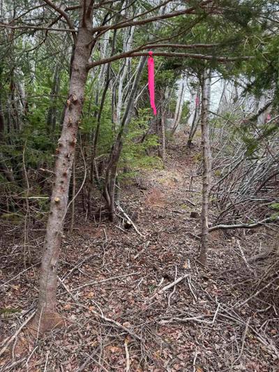 16 Highway — photo 2