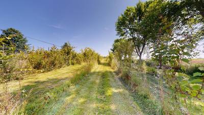 115 Magee Road — photo 4