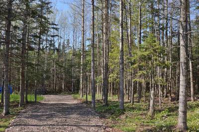 Forest Glade Road #Lot — photo 5