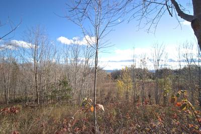 516 Burgess Mountain Road — photo 8