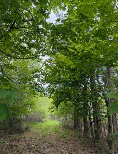 741 Westfield Road — photo 4