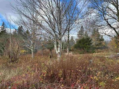 2936 Highway 3 — photo 2