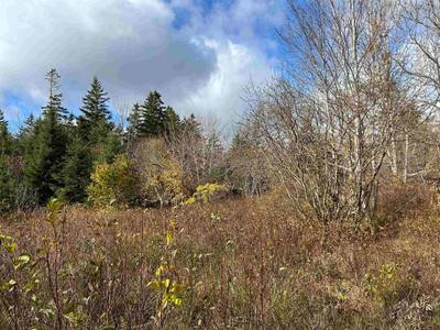 2936 Highway 3 — photo 4