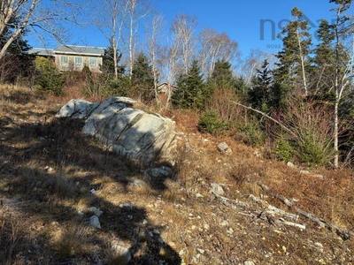 4431A Prospect Road #7 — photo 4
