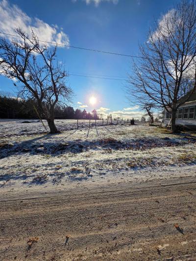 205 Hodgson's Road — photo 4