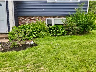 3 Fletcher Drive — photo 3