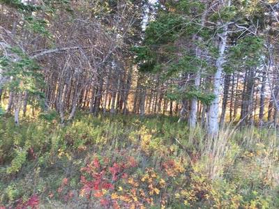 Kempt Head Road Lot 0 & 3 — photo 5
