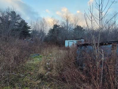 62 Tupper Street — photo 3