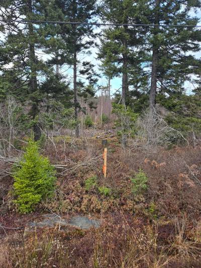 Mount Pleasant Road #Lot P-2 — photo 2