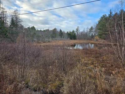 Mount Pleasant Road #Lot P-2 — photo 4