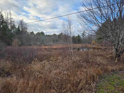 Mount Pleasant Road #Lot P-2 — photo 5