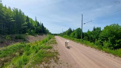 Highway 4 #Lot 22 — photo 4