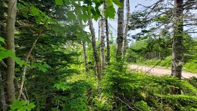 Highway 4 #Lot 22 — photo 5