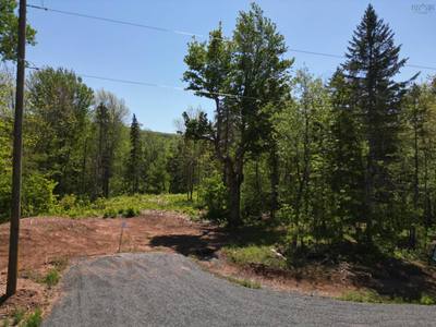 17 Glades Run — photo 4