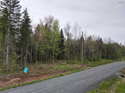 17 Glades Run — photo 6