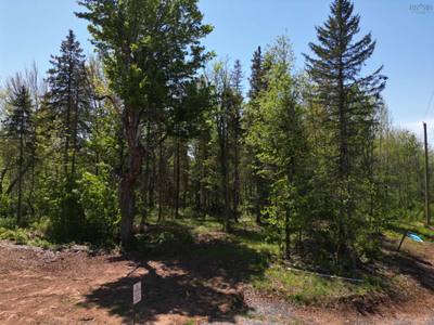 17 Glades Run — photo 7