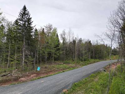 17 Glades Run — photo 8
