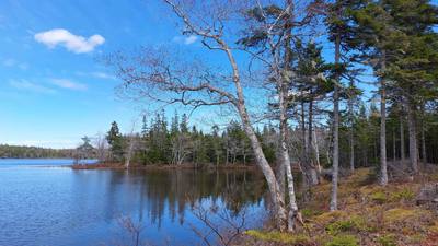Highway 4 #Lot 4 — photo 4