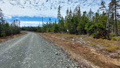 Highway 4 #Lot 4 — photo 5