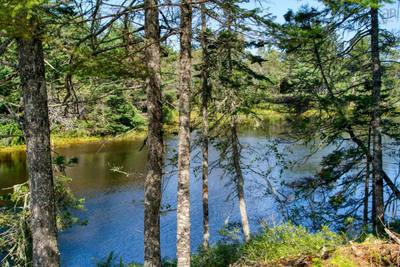 Cooks Brook #Lot 5 — photo 2