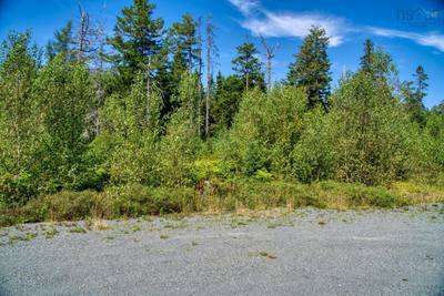 Cooks Brook #Lot 5 — photo 3