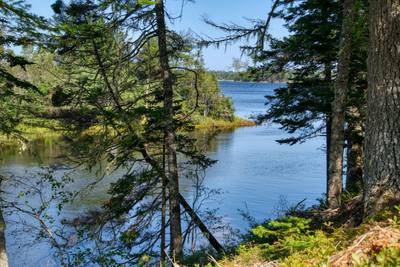Cooks Brook #Lot 5 — photo 4
