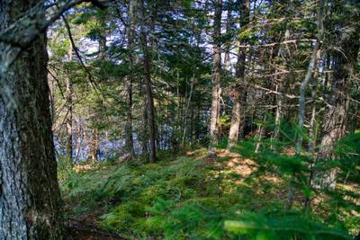 Cooks Brook #Lot 5 — photo 5