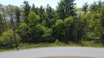 Hawthorn Road #Lot 226 — photo 8