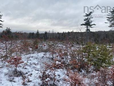 Newburne Road #Lot 1 — photo 2