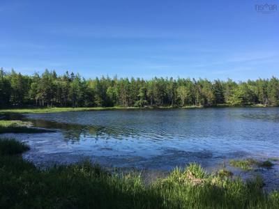 Peter Sosna Drive — photo 4