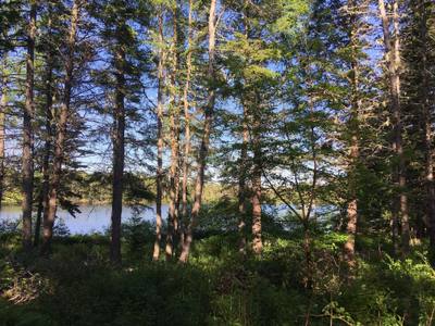 Peter Sosna Drive — photo 5
