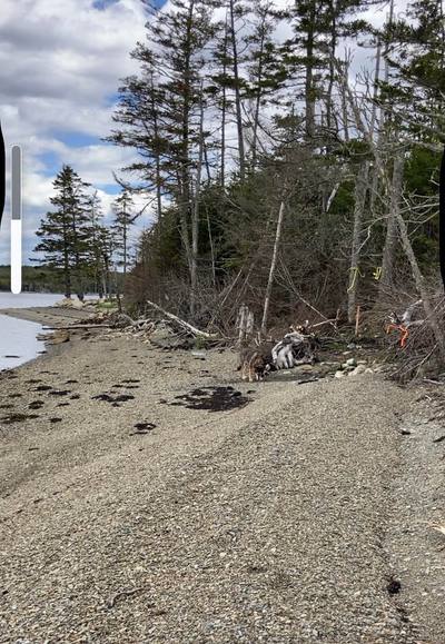 West Liscomb Point Road #Lot 21-2 — photo 2