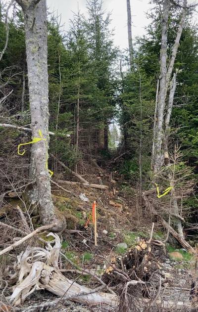 West Liscomb Point Road #Lot 21-2 — photo 3