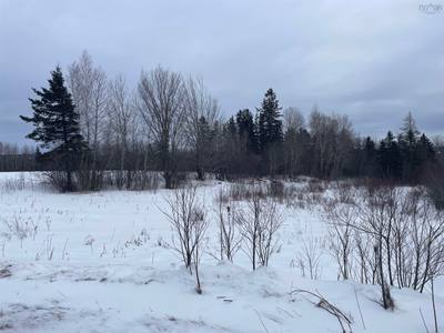 Reid Road — photo 3
