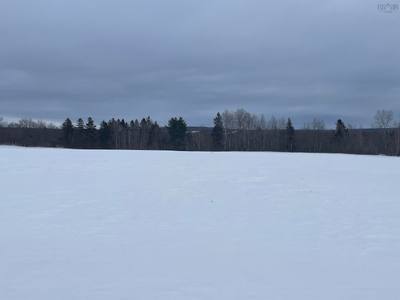Reid Road — photo 4