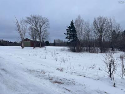 Reid Road — photo 8