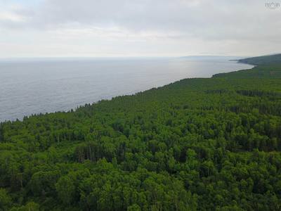 41251 Cabot Trail — photo 8