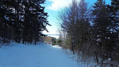 3166 Highway 19 — photo 4