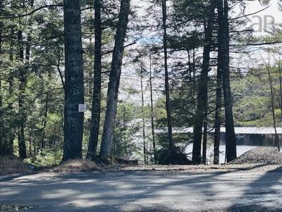 351 Narrows Road — photo 4
