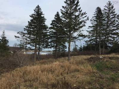 Hirtles Beach Road — photo 4