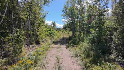 Dalhousie Road #Lot 1 — photo 2