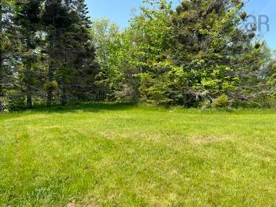 1129 Mckenzie Mountain Road — photo 5