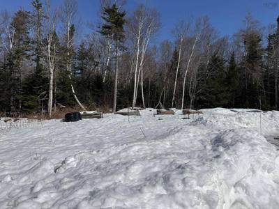 58 Golden Shore Lane — photo 8