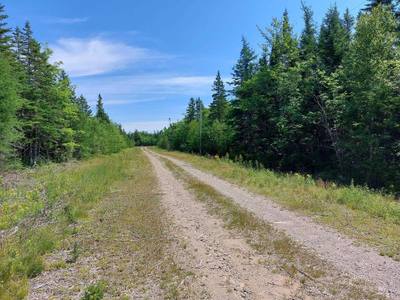 Gabe Macisaac Dr Salem Road #Lot 98-6B — photo 2