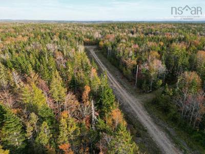 Gabe Macisaac Dr Salem Road #Lot 98-6B — photo 5