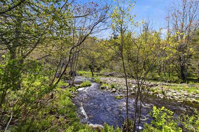 6689 Highway 3 Highway — photo 4