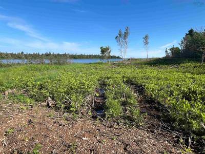 Galt Pond Road #Lot 11-1Z — photo 5