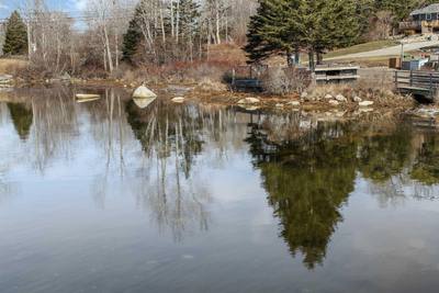 9 Scotch Cove Road — photo 8