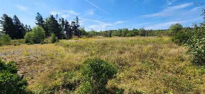 Feltzen South Road #Lot 1 — photo 6